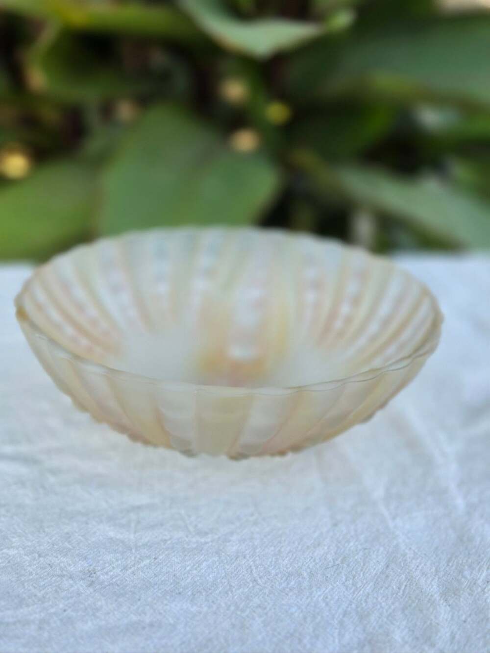 Vintage Opalescent Frosted Glass Shell Trinket Bowl